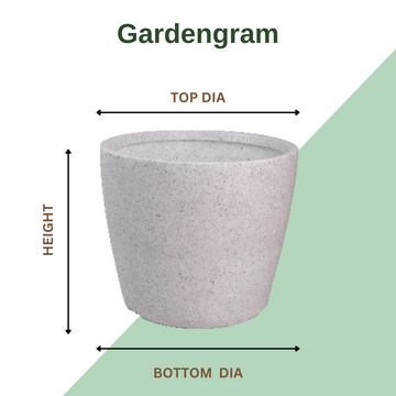 Plastic Pentas pot for indoor/outdoor use